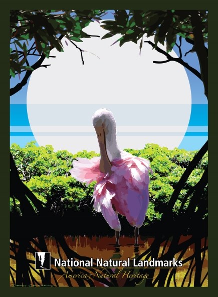 Tropical ecosystems Graphic artwork of pink water bird in magrove swamp