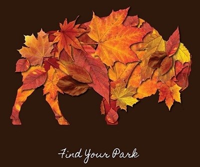 Illustration of a bison made of tree leaves with text reading "Find Your Park"