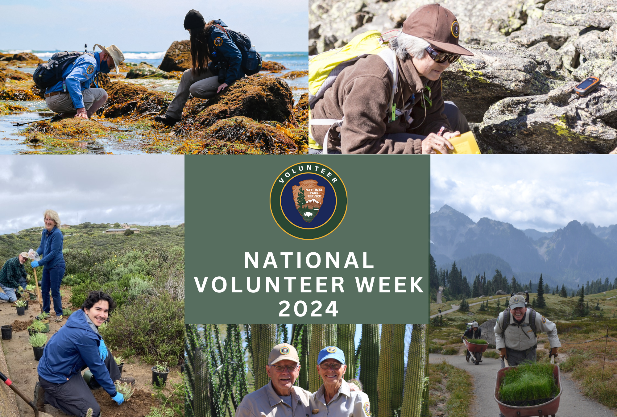 A montage of six images featuring volunteers at national park sites.