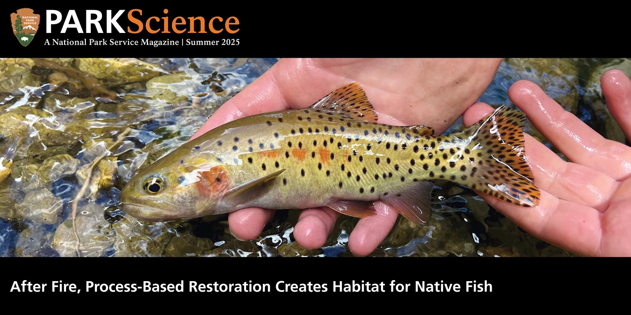 Summer 2025 issue cover A hand holding a colorful, spotted fish