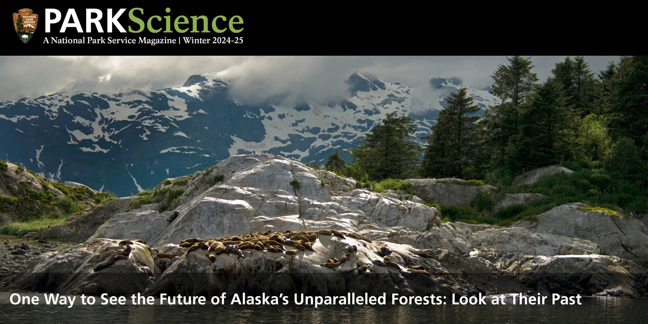 Winter 2024-25 issue cover A spectacular scene of snow-capped mountains, forest, rocks and sea lions in rainy weather