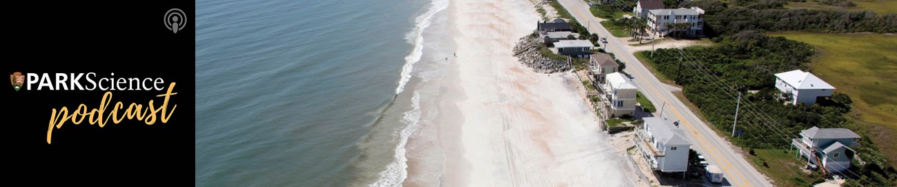 Swept Away podcast cover: square, black, Park Science Podcast graphic with gold lettering next to an aerial view of a beach with houses not far from the ocean