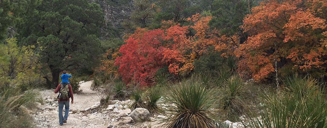 Father and son hiking in Guadalupe Mountains National Park