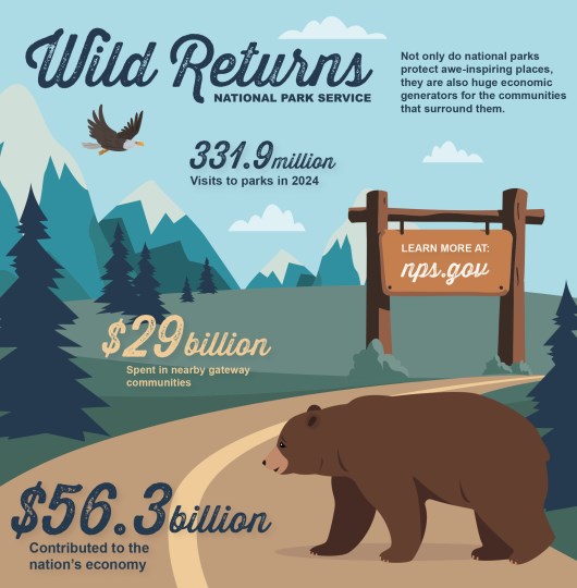 Infographic 2024 Graphic of a roadway and wildlife in a national park with title, "Wild Returns." Text in the infographic explains that not only do national parks protect awe-inspiring places, they are also huge generators for the communities that surround them.