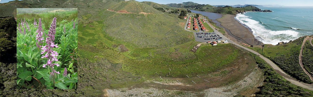 Wetlands recovery