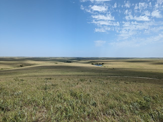 View from the Scenic Overlook, grass and sky