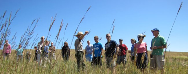 Ranger leads a tour in the tallgrass. 15 visitors and a uniformed ranger are seen through yellowing grass with blue sky behind them.