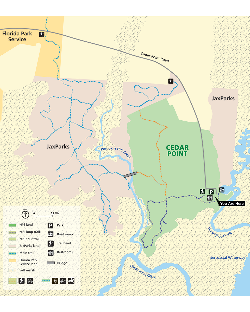 a trail map showing city Cedar point preserve connected by bridge to trails at Cedar point a key is in the corner