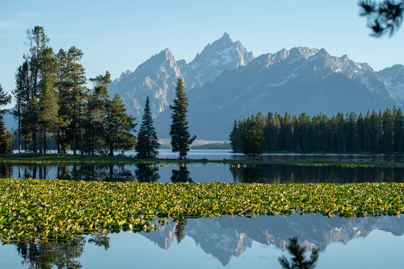 Heron Pond Mountains reflected on a Lilly pad-covered pond.