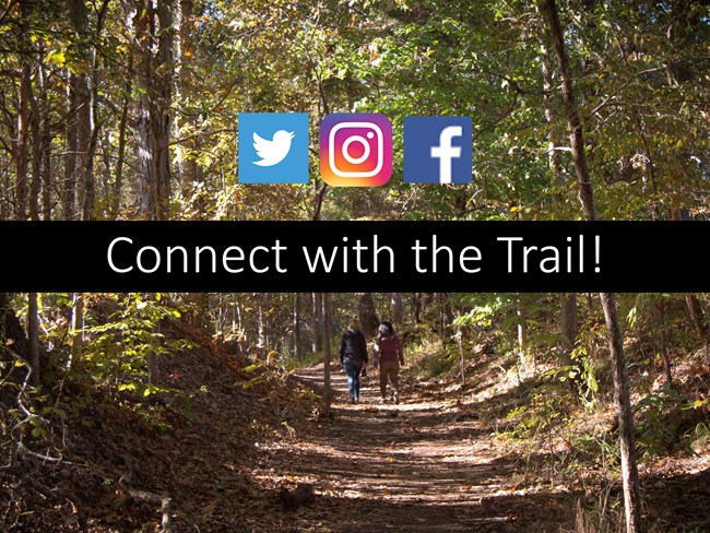 A trail leads into a densly vegetated forest.