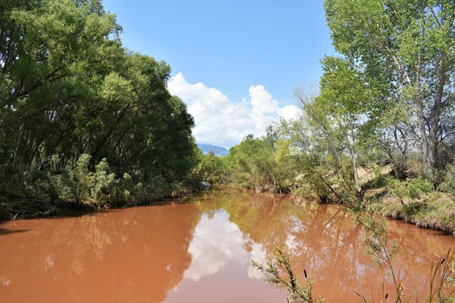 Verde River in August