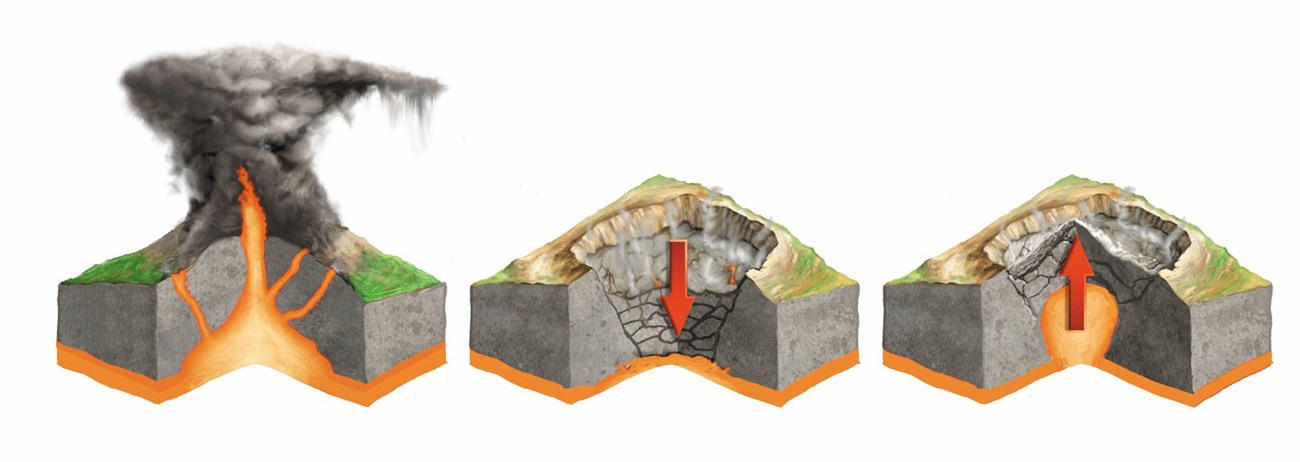 A diagram showing caldera formation and resurgence.