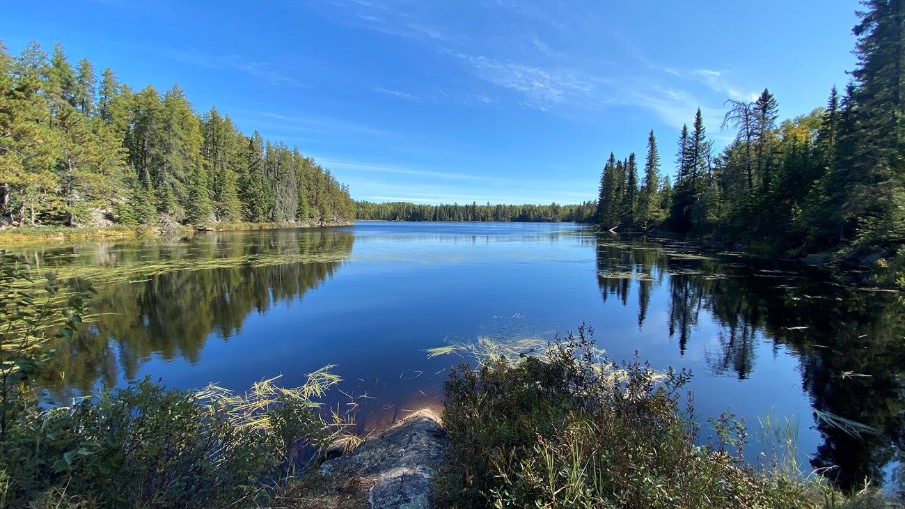 Quarter Line Lake campsite in the backcountry of Voyageurs National Park