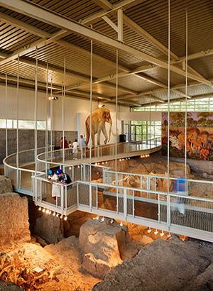 Visitors view fossils from the elevated walkway.