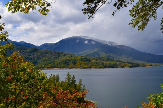 Shasta Bally