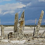 Selenite Crystals