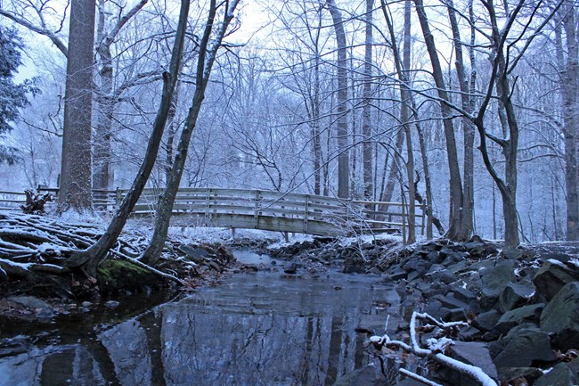 Wolftrap Run after a snow storm.