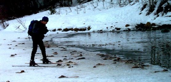 spawning fish during winter