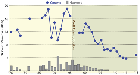 Chart of elk counts and removals by year from 1976 to 2015 with wolf reintroduction marked