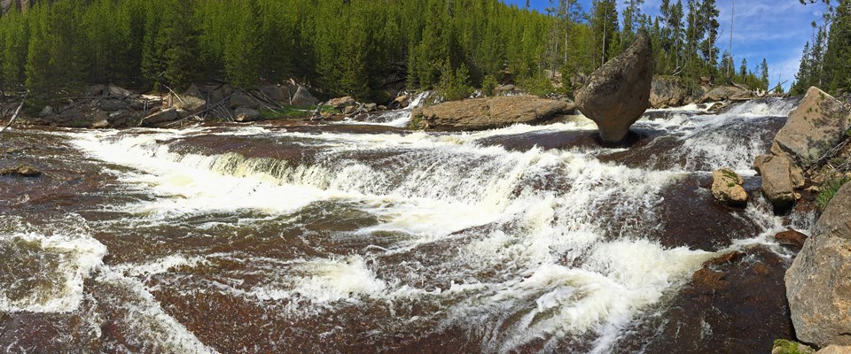 Water cascades over rock falls surrounded by pine trees