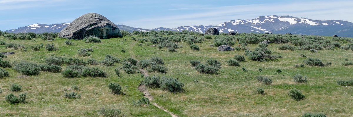 A trail leads to a large boulder on top of a hill