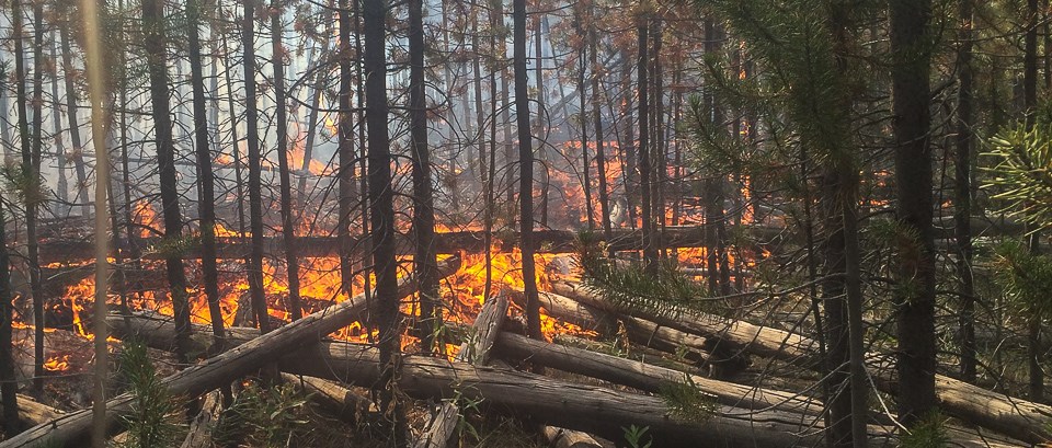 A scene from the Maple Fire on August 14, 2016