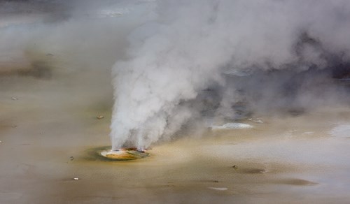 Fumaroles in the Norris Geyser Basin