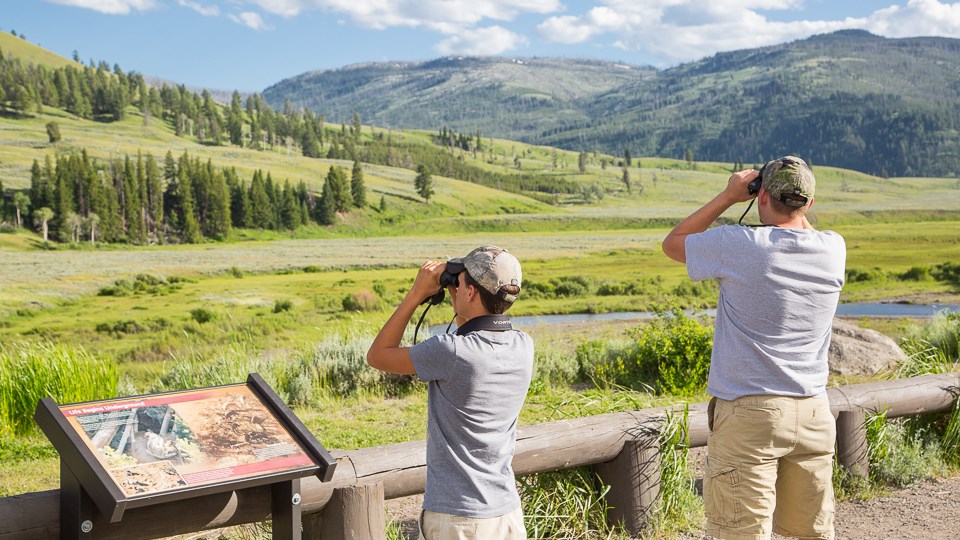 Two people searching for animals through binoculars at