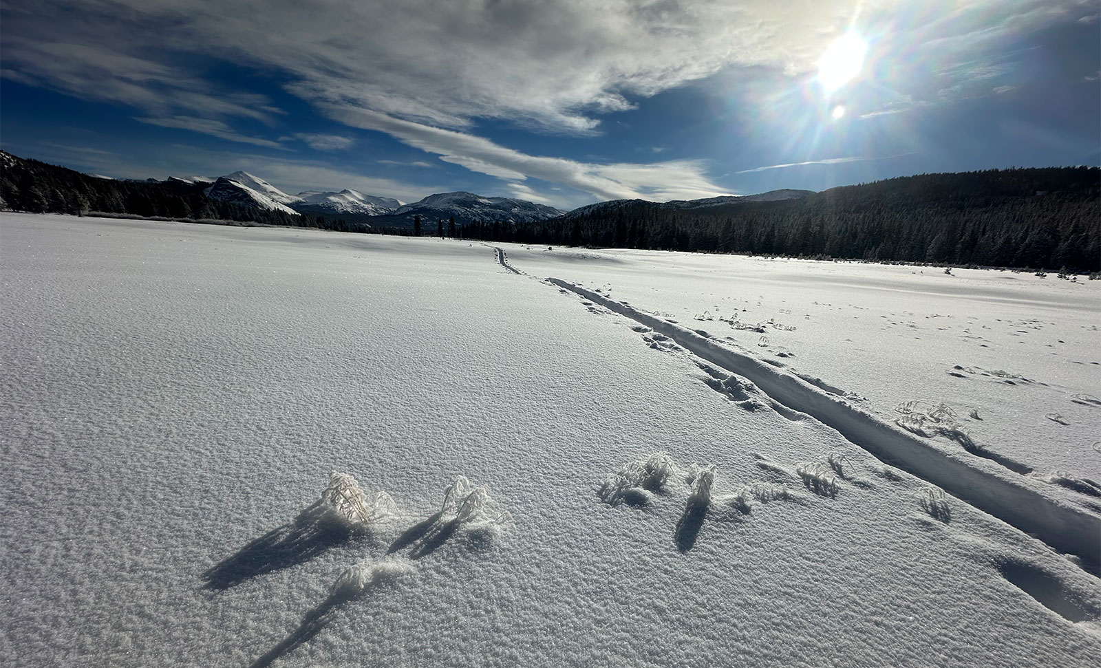 Tuolumne Meadows on January 4, 2024.