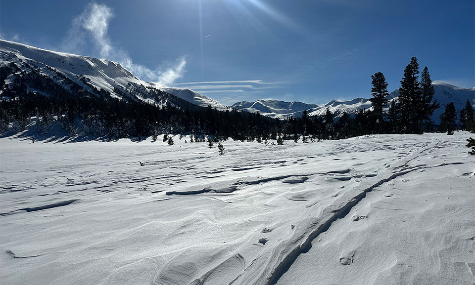 Blowing snow and inverted ski tracks, Dana Meadow, January 20, 2023.