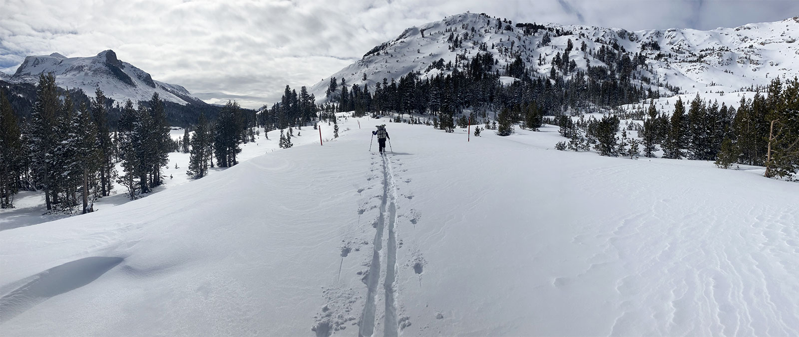 Breaking trail towards Tioga Pass on February 3, 2024.