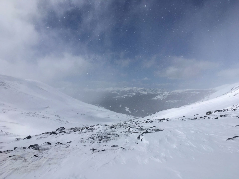 Wind-blown snow