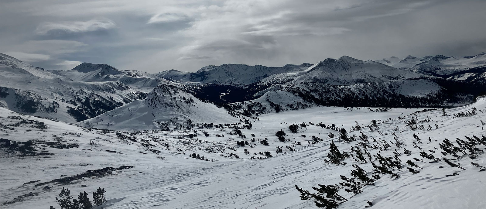 Sierra Nevada high country near Tioga Pass on February 13, 2024.