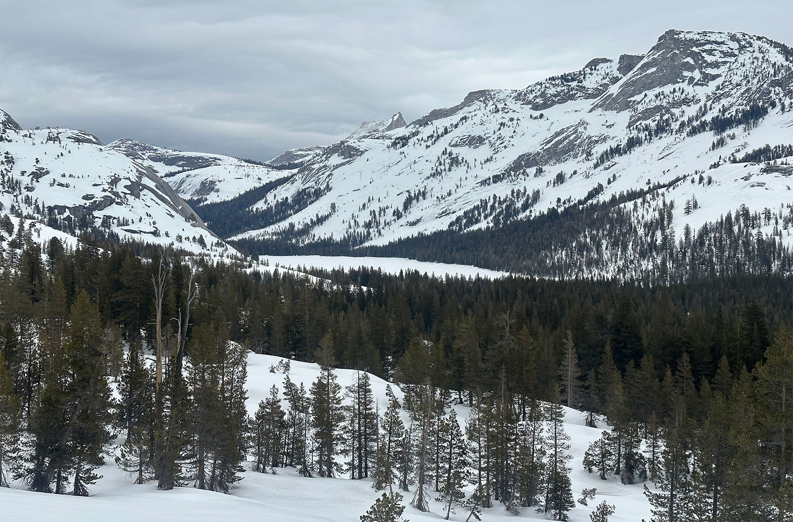 Tenaya Lake on February 21, 2023.