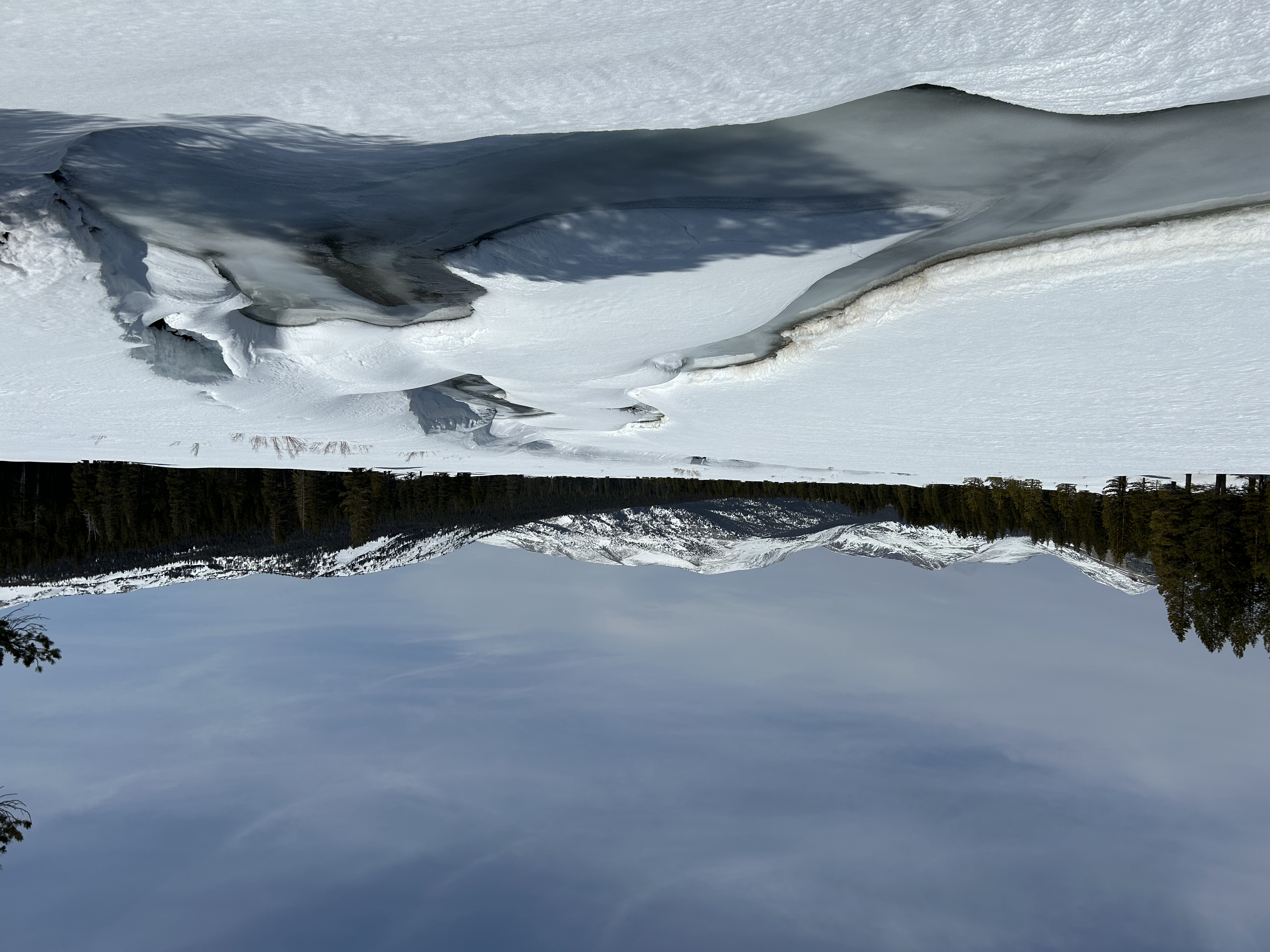 The Tuolumne River opening up in Tuoumne Meadows April 7th, 2025 View from along the banks of the Tuolumne River, with just a bit of flowing water emergeing from beneath ice and snow; forest and snowy mountains in the distance