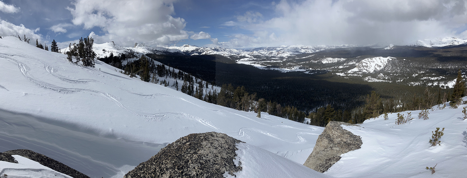 Tuolumne Meadows dreaming on March 7, 2024.