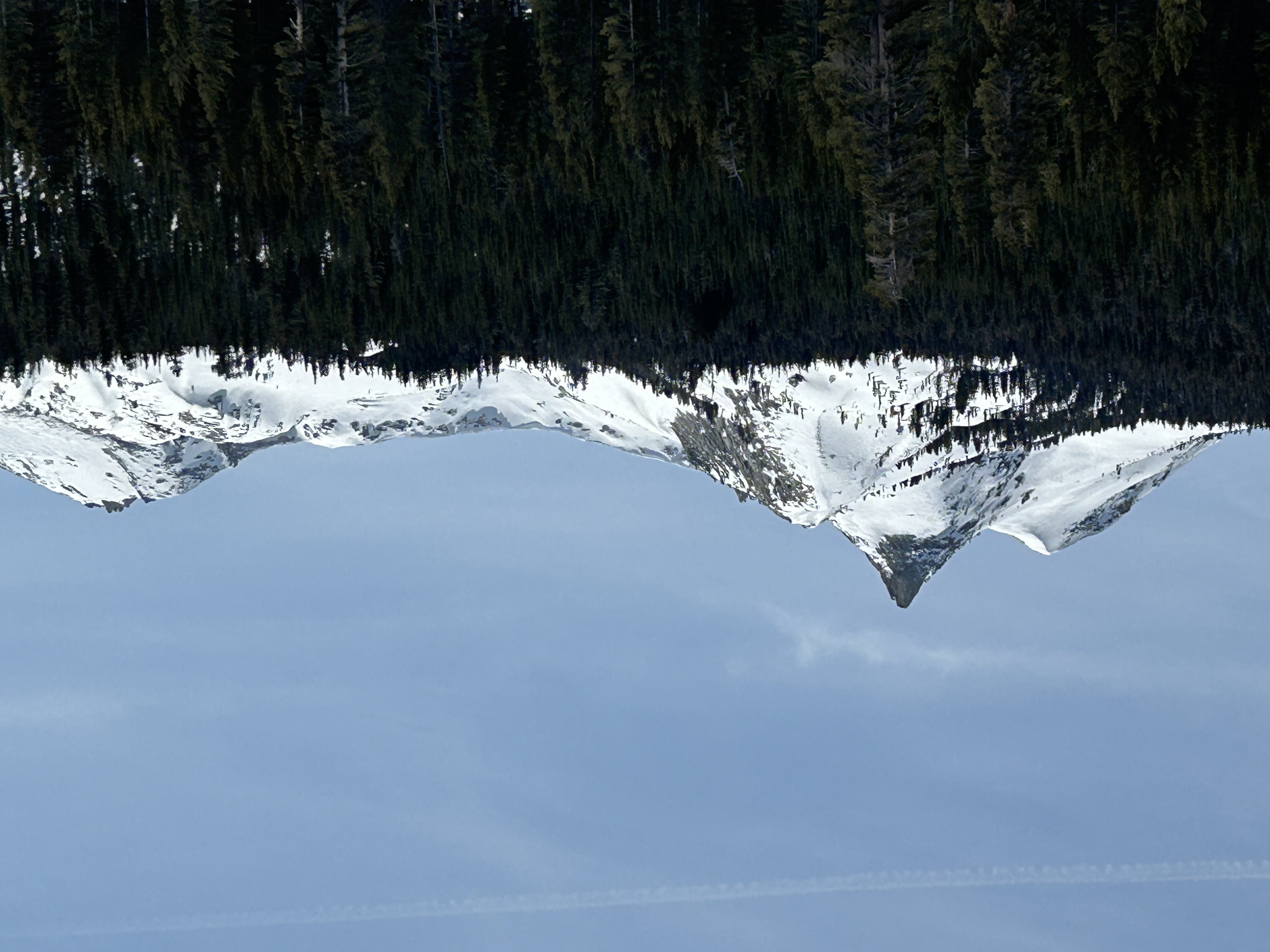 Unicorn Peak and the Cathedral Range, April 7, 2025 Unicorn Peak and the Cathedral Range rise beyond a forest
