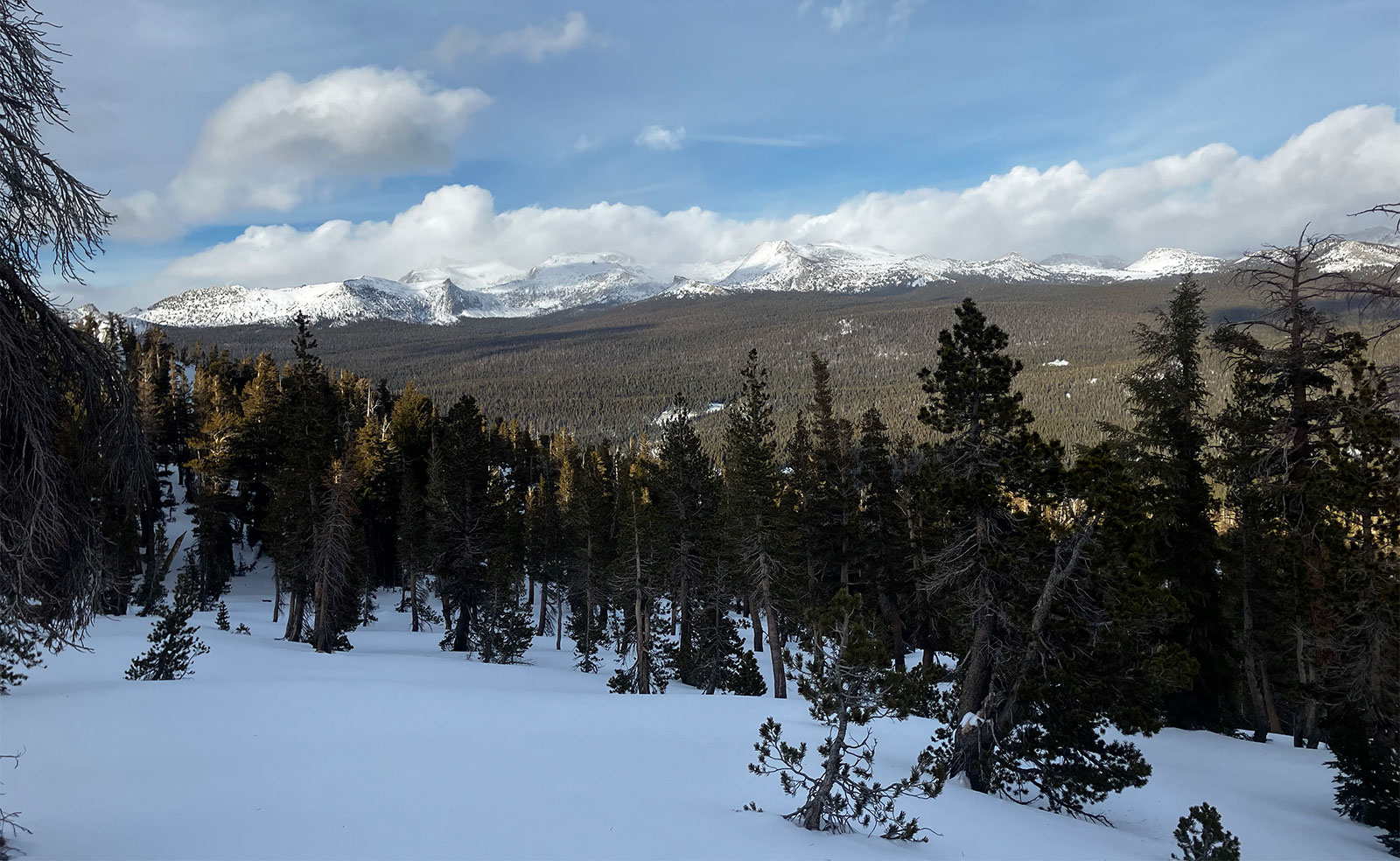 Winter envelops the Tuolumne River Basin on January 8, 2024.