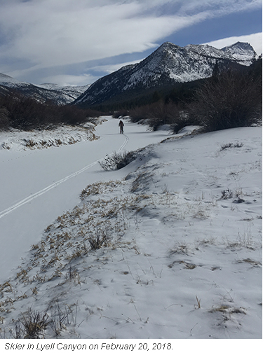 Skier in Lyell canyon breaking new trails in snow