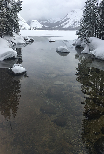 Tenaya Lake Outlet on March 29, 2020.