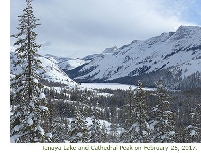 Tenaya Lake and Cathedral Peak 