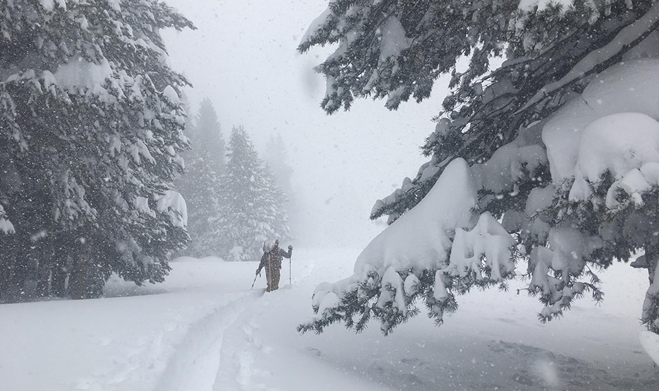 Skier breaking trail through fresh deep snow in Tuolumne Meadows on February 6, 2019.