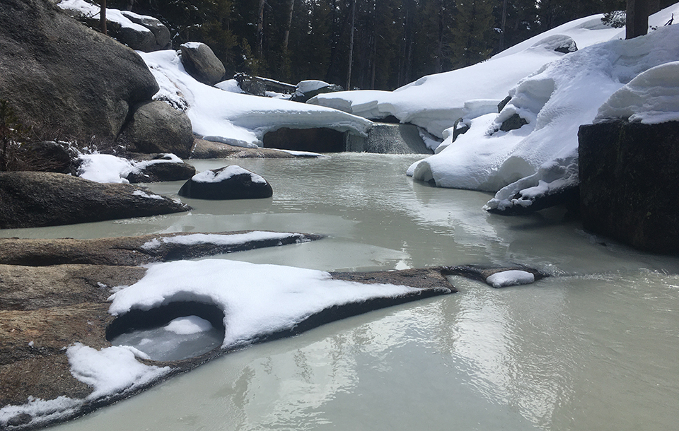 A greenish murky Tuolumne River flowing on April 19, 2020.