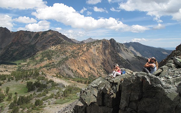 Biologists using binoculars to spot bighorn sheep in the mountains