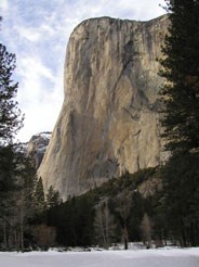 El Capitan rises above the Valley floor