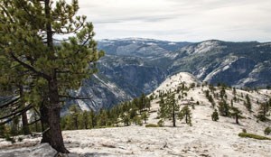 View from on top of North Dome