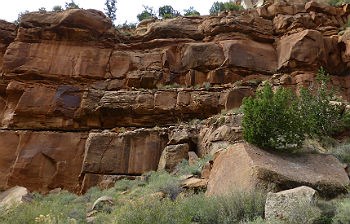 Springdale Sandstone outcrop