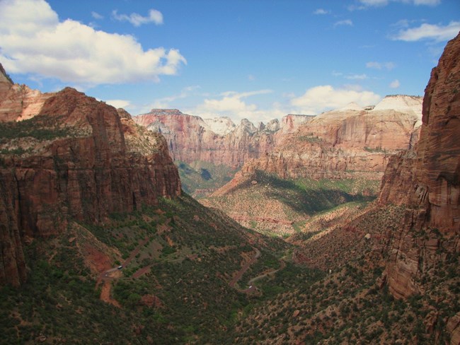 A view of reddish sandstone cliffs dropping into a vegetated canyon.