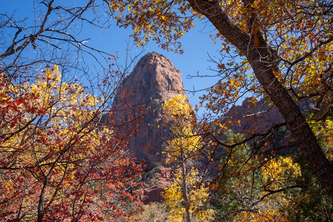 A sandstone cliff is framed by yellow, orange, and red forest foliage.
