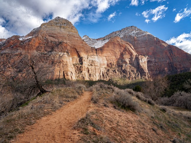 A trail of deep sand cuts through a hill of covered in low shrubs. In the background are reddish orange mountains of sandstone.